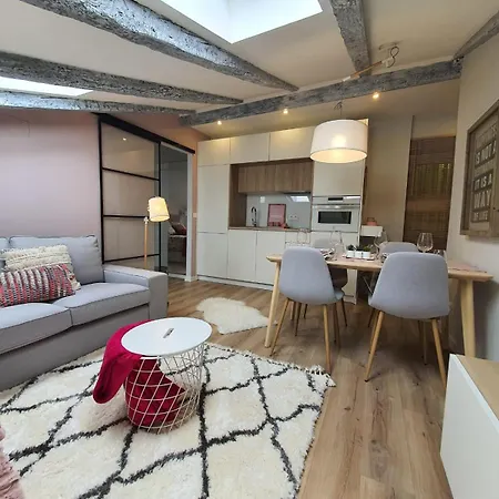 Buhardilla En El Historico Apartment